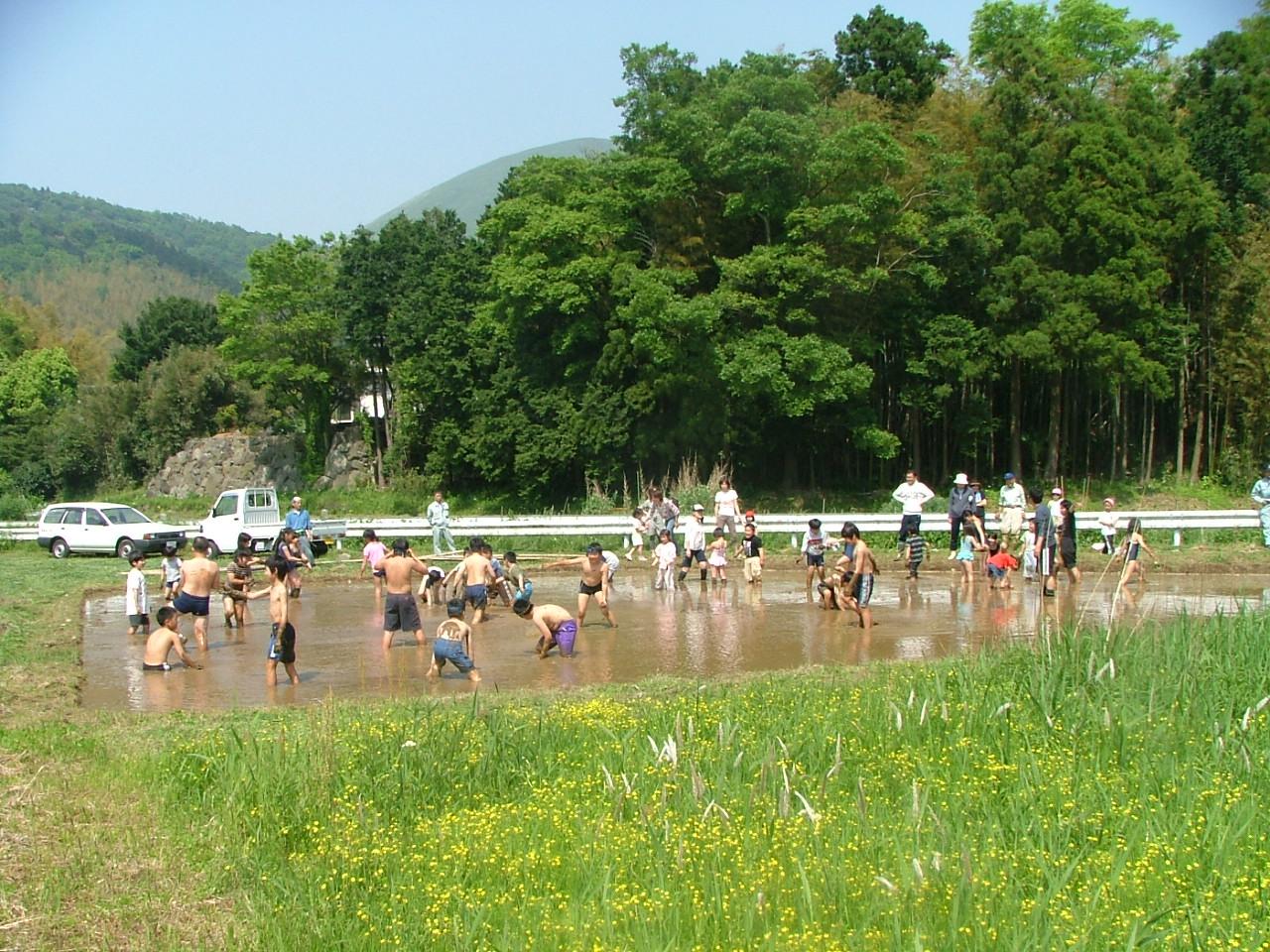 池地区における農地水環境対策の一環として泥遊びに興じる風景の写真