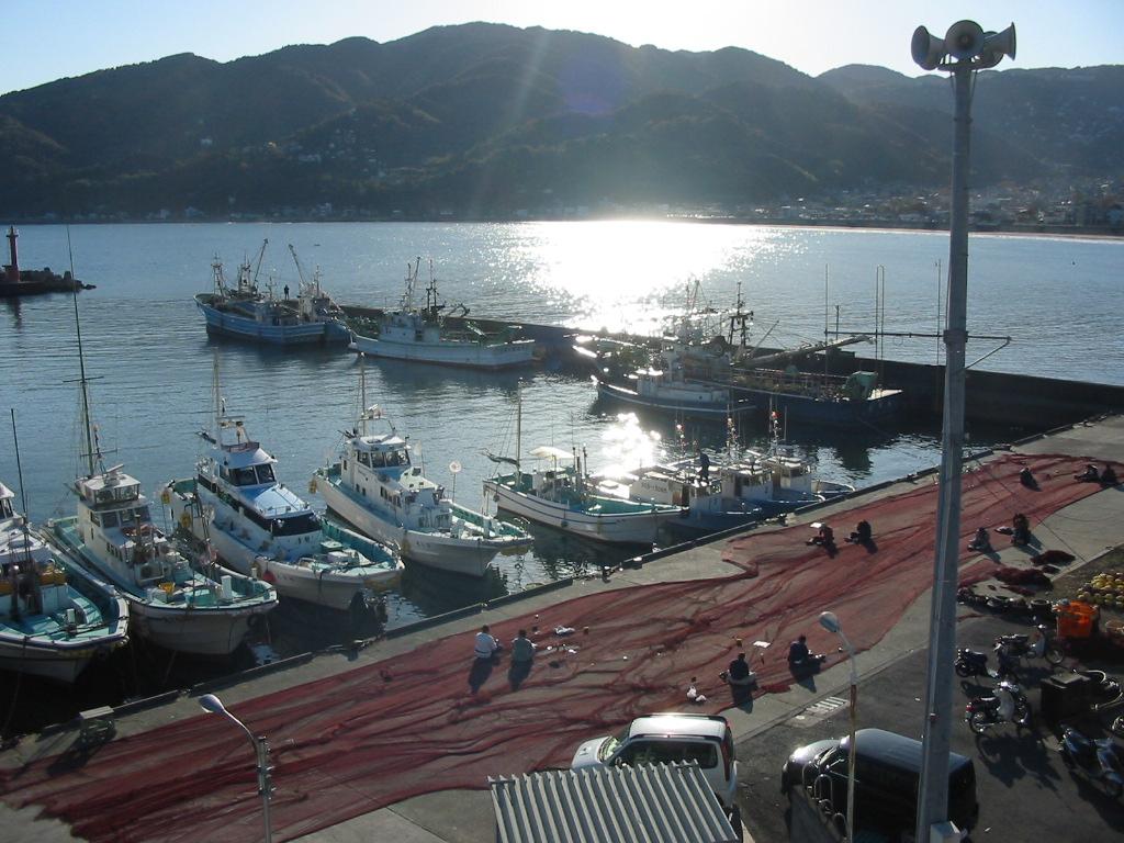 宇佐美漁港の風景の写真