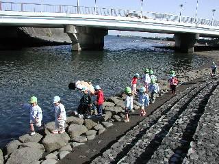 伊東大川の川沿いを散歩する園児たち