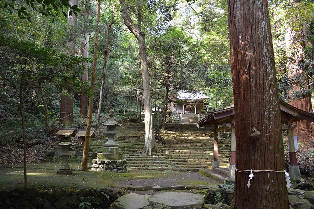 八幡宮来宮神社社叢の写真1