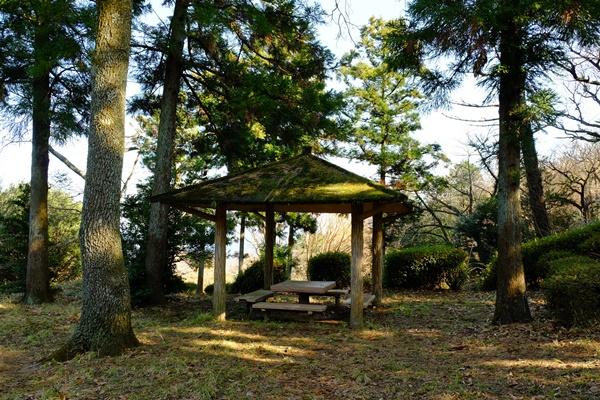 針葉樹に囲まれた東屋の写真