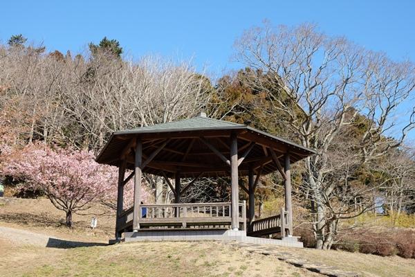 小室山公園の東屋の写真