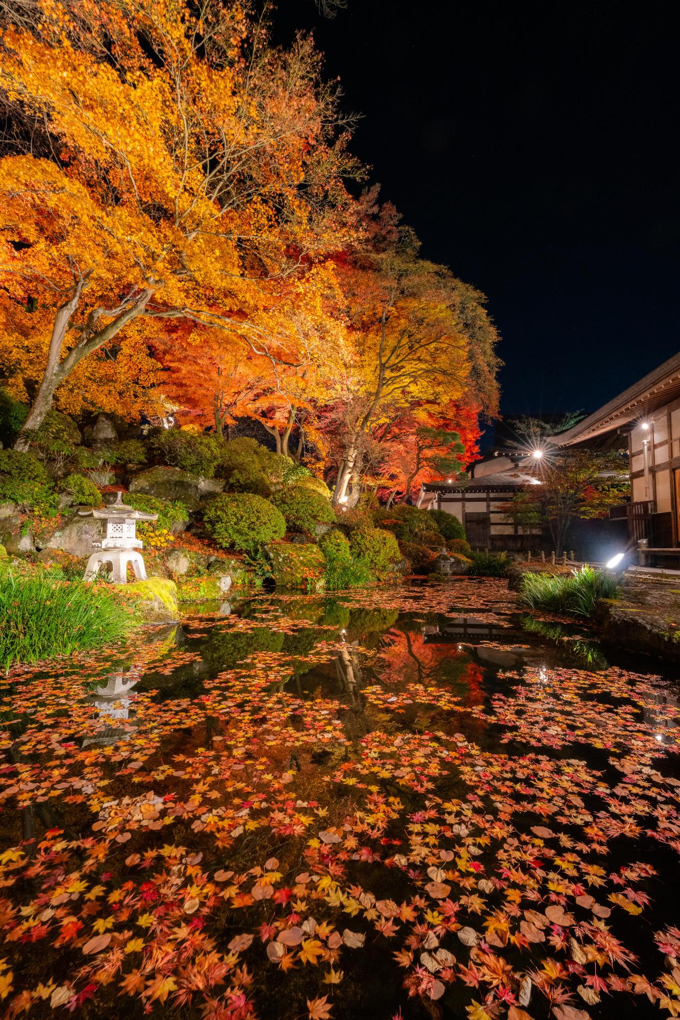 諏訪市賞「美しくも静寂に包まれる諏訪の秋」