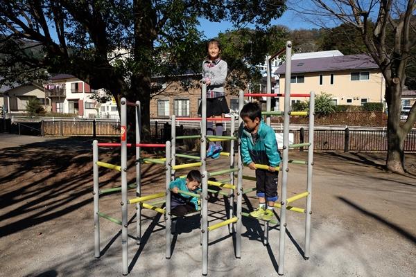 ジャングルジムで遊ぶ女の子と男の子2人の写真