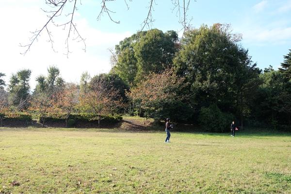 芝生のオープンスペースでキャッチボールをする2人の写真