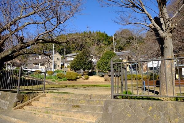 公園入り口の階段の写真