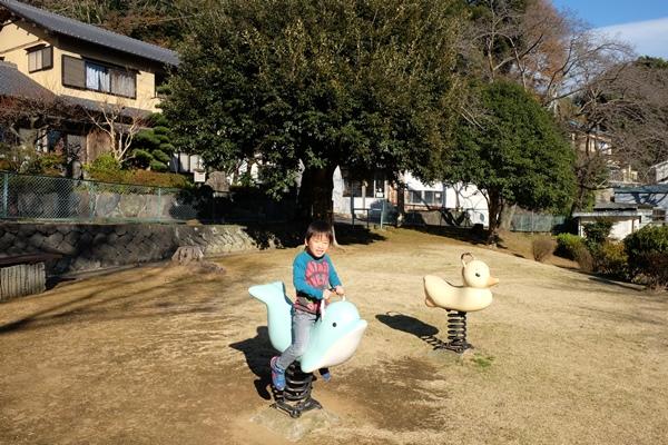 いくつかのスプリング遊具とスプリング遊具に座る男の子の写真