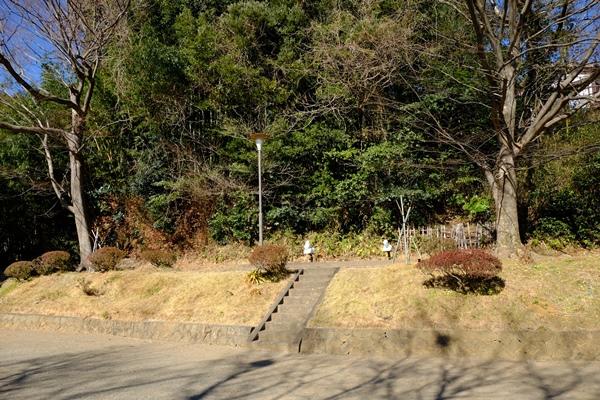 公園内の段差のあるエリアの、上に木々が生い茂っている写真