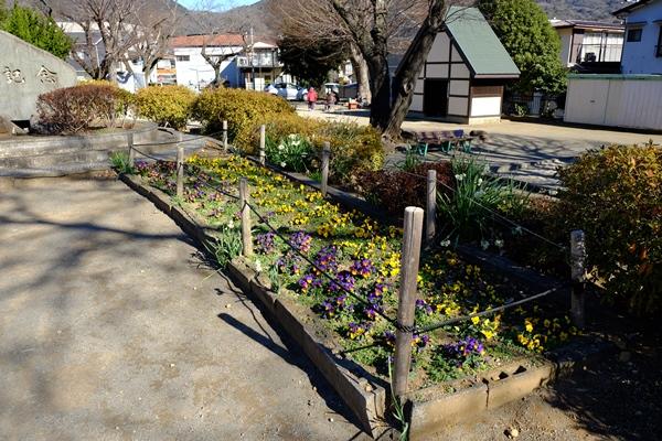 公園上段の花壇の写真