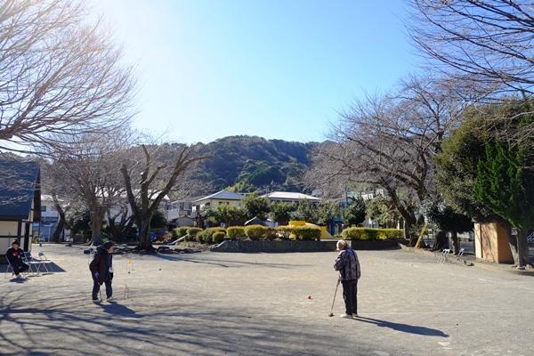 公園のオープンスペースでゲートボールをする人たちの写真