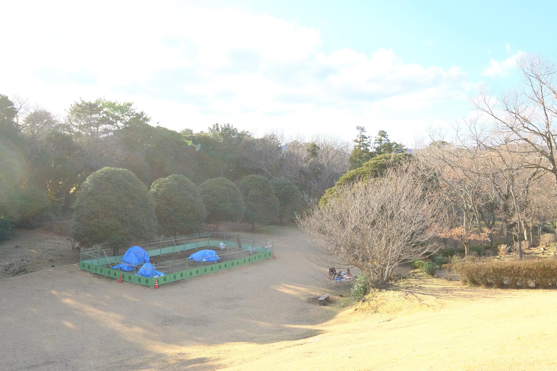 フェンスで工事区画された小室山公園の芝生広場の写真