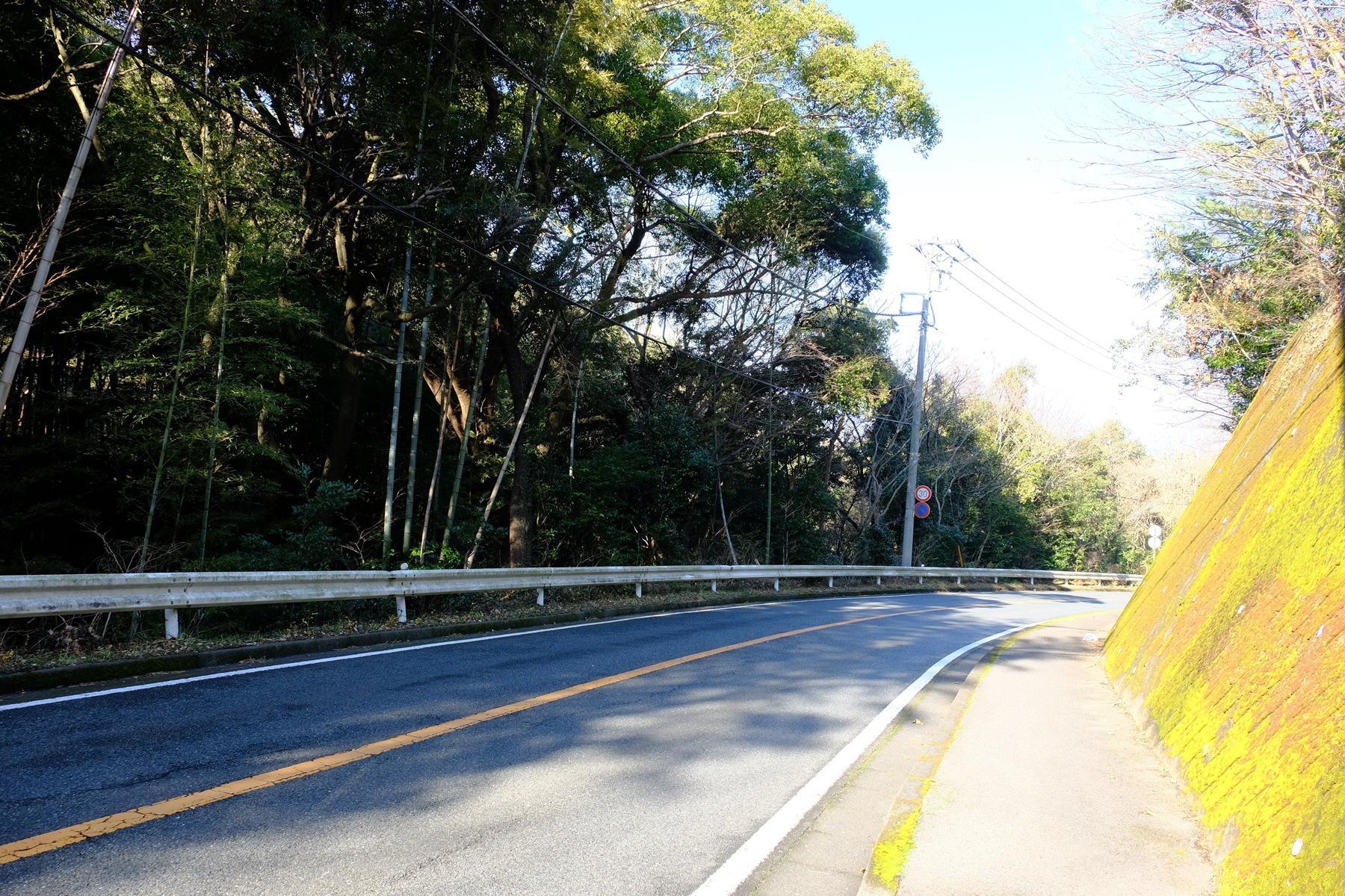 自動車学校へ上る道路の写真