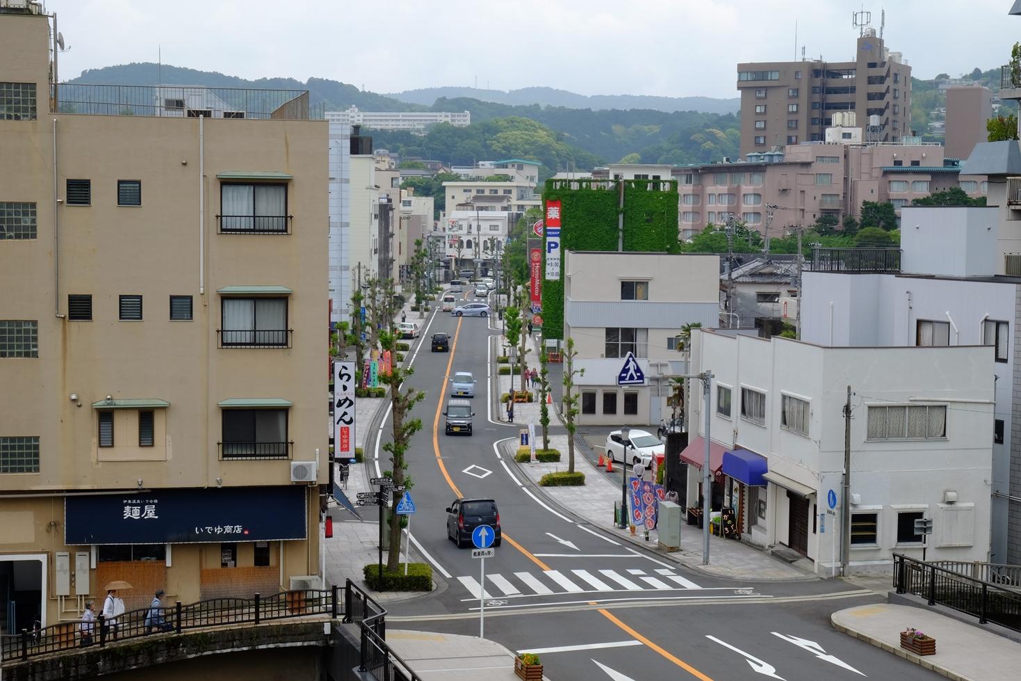 市道南口線のイチョウ並木の写真