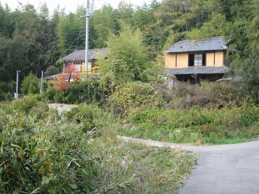 家の周りに草がたくさん生えている新町の空き家の写真
