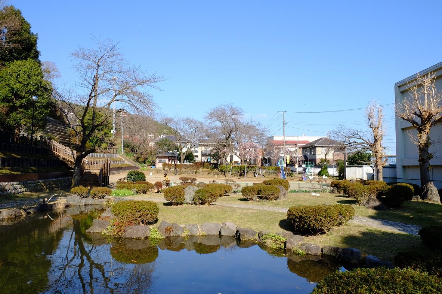 伊東公園の池と低木と遊具スペースの写真